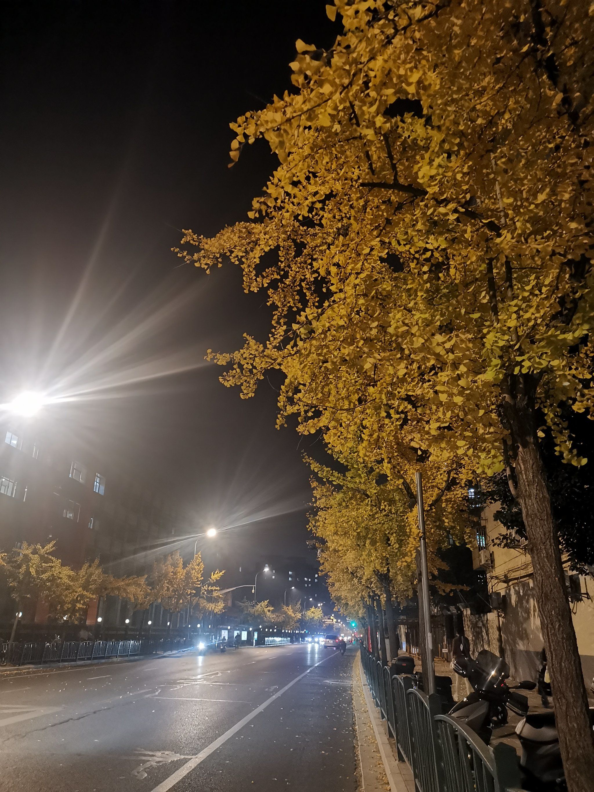 突然看到夜晚路灯下的银杏树,那阴霾天空里的一抹抹黄色,是冬天的色彩