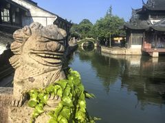 -鲁镇