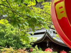 -龙华寺