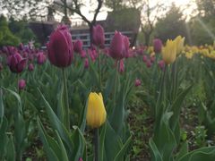 -长春公园(普阳街道)