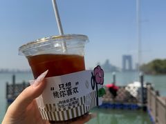 -金鸡湖桃花岛