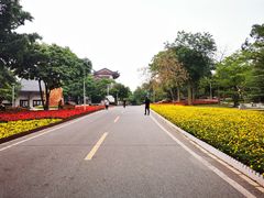 -广东花都湖国家湿地公园
