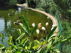 -九龙公园
