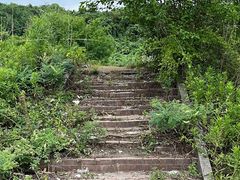 -南京中医药大学(仙林校区)