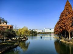 -青枫公园