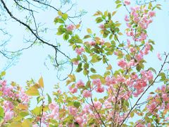 -长白岛森林公园