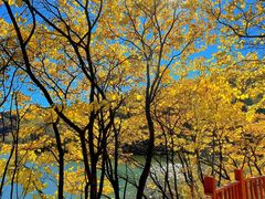 -玉渡山自然风景区