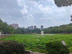 -谷咖啡·鲜花绿植花园餐厅