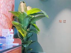 -星叶·东南亚料理(宁波万象汇店)
