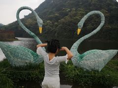 -广州市石门国家森林公园