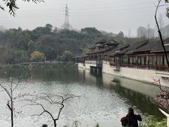 -重庆彩云湖湿地公园