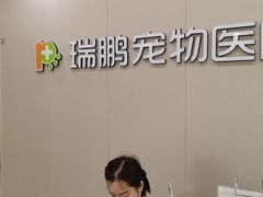 -瑞鹏宠物医院·骨外科·心肾科·肿瘤科(九亭店)