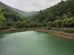 -九龙潭景区