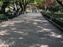 -杭州半山国家森林公园