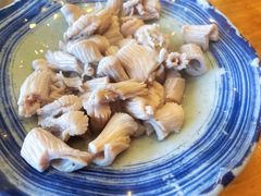 羊肚仁-金生隆(六铺炕店)