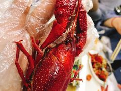 -虾弄弄海派小龙虾·牛羊蝎子火锅