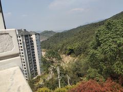 -铁山坪森林公园