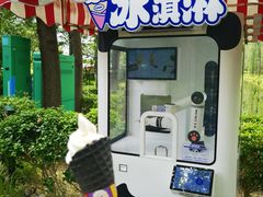 -合肥滨湖国家森林公园