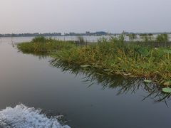 -白洋淀景区