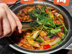 -禄婶鸡煲·打边炉
