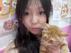 -毛绒耶耶撸宠馆·猫咖·狗咖·荷兰猪咖