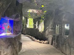 -青青世界
