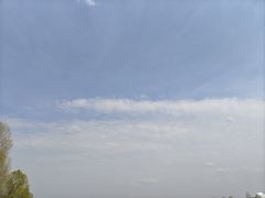 -呼兰河口湿地公园