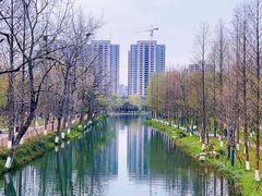 -洋湖国家湿地公园