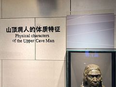 -北京周口店北京人遗址博物馆