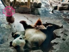 -济南野生动物世界