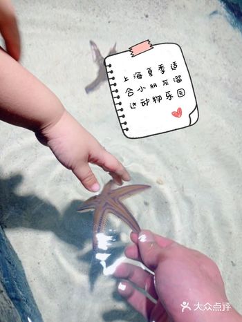 上海夏季超适合小朋友溜达的动物乐园