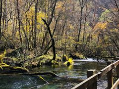 -叠溪松坪沟景区