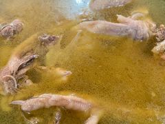 东阳土鸡煲-江南人家(横店老字号)
