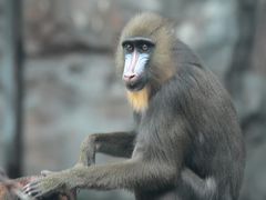 -鄂尔多斯野生动物园