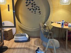 -白兔子密室(长寿路店)