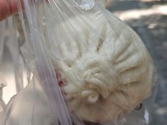 -葑门横街