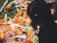 -太平洋海底世界