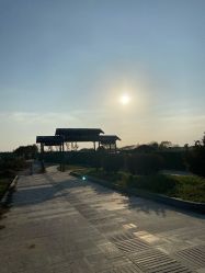 -水八仙生态园