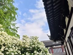 -常熟方塔园