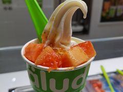 -Salud撒露欧洲冻酸奶(北苑上品店)
