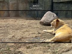 -齐齐哈尔龙沙动植物园