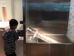 -香港科学馆