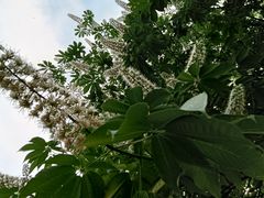 -太阳宫公园