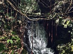 -夏霖九天银瀑风景区
