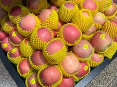 -幸福万寿路果蔬生鲜便民菜站(翠微南里社区店)