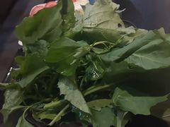 -野菌皇海景野生菌火锅(滨海大道店)