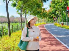 -上海长兴岛郊野公园