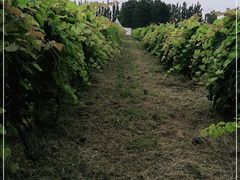 -安德鲁户外烧烤帐篷营地(马泉营店)