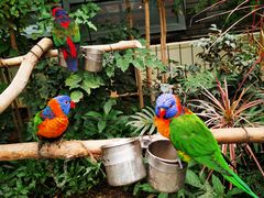 -南宫五洲植物乐园