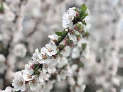 -杭州城北体育公园